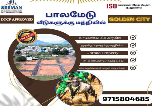 Palamadu Property